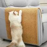 Cat Protection – Your Furniture Safe and Your Cat Happy