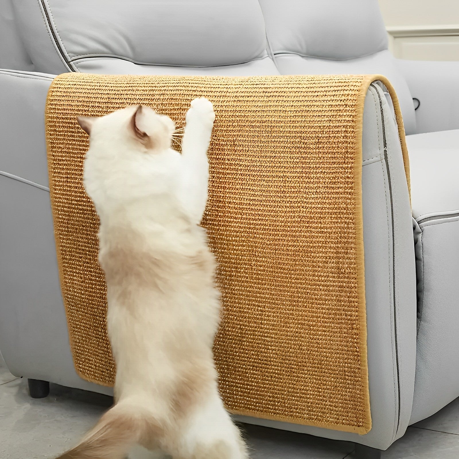Cat Protection – Your Furniture Safe and Your Cat Happy
