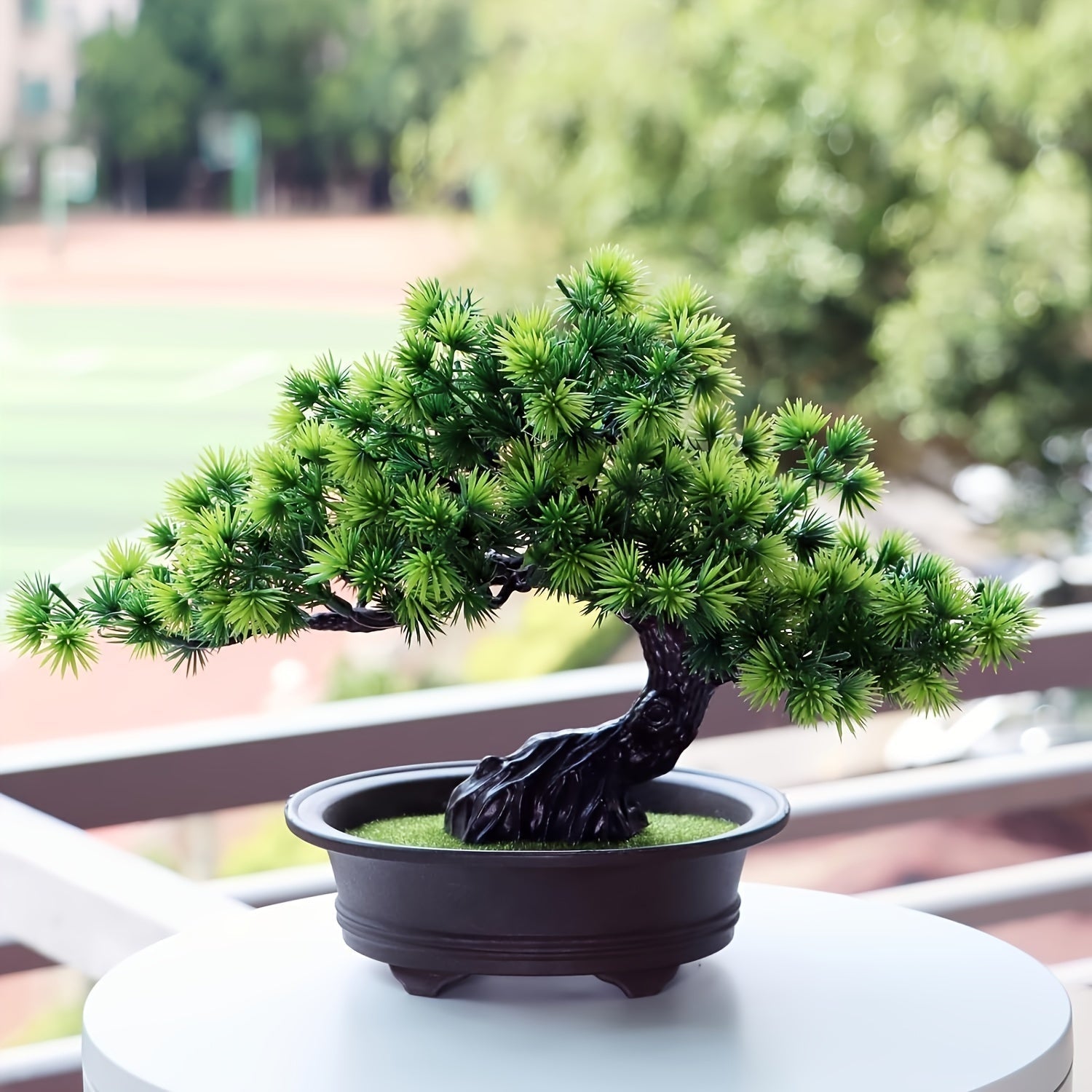 Lebenslange Bonsai-Pflanze für ein harmonisches Zuhause