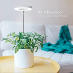 LumosPro – Promote your plants' growth all year round