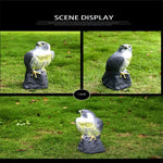 Lifelike eagle decoy for bird deterrence in the garden