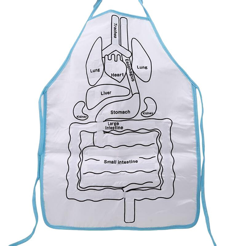 Anatomie Lernschürze – Entdecke Menschliche Organe Spielerisch