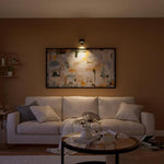 Flexible Wall Light with 360° Rotation for Any Room