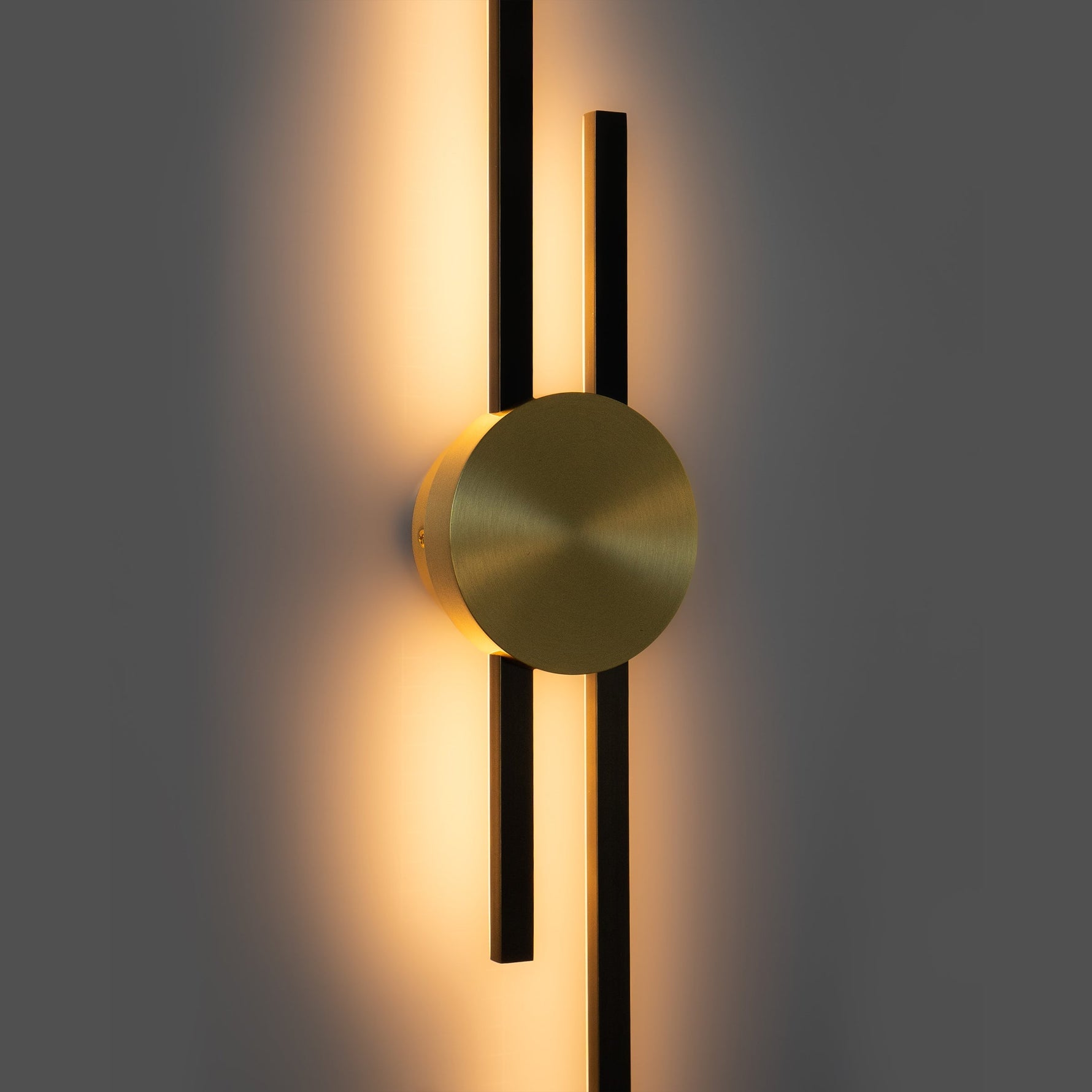 Elegant LED Wall Light for Stylish Living