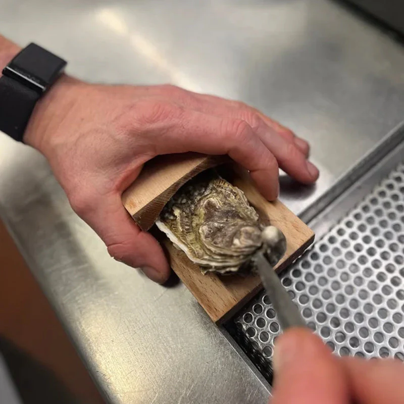OysterMaster – The ultimate oyster opener set for effortless opening