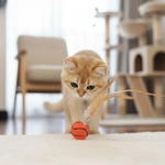 FederSprung Katzenspielzeug - 3er Set