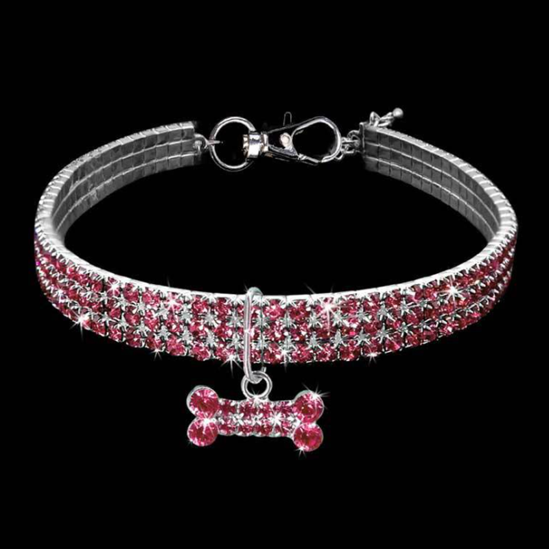 Glitzernde Hundefreundschaft: Stilvolles Halsband