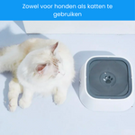 The Clean Water Bowl for Your Loyal Companion