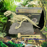 DinoEntdecker | Fossilien-Ausgrabungsset für Kinder