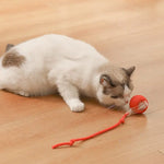 Interaktiver Spielball für Katzen – Spaß und Bewegung für drinnen