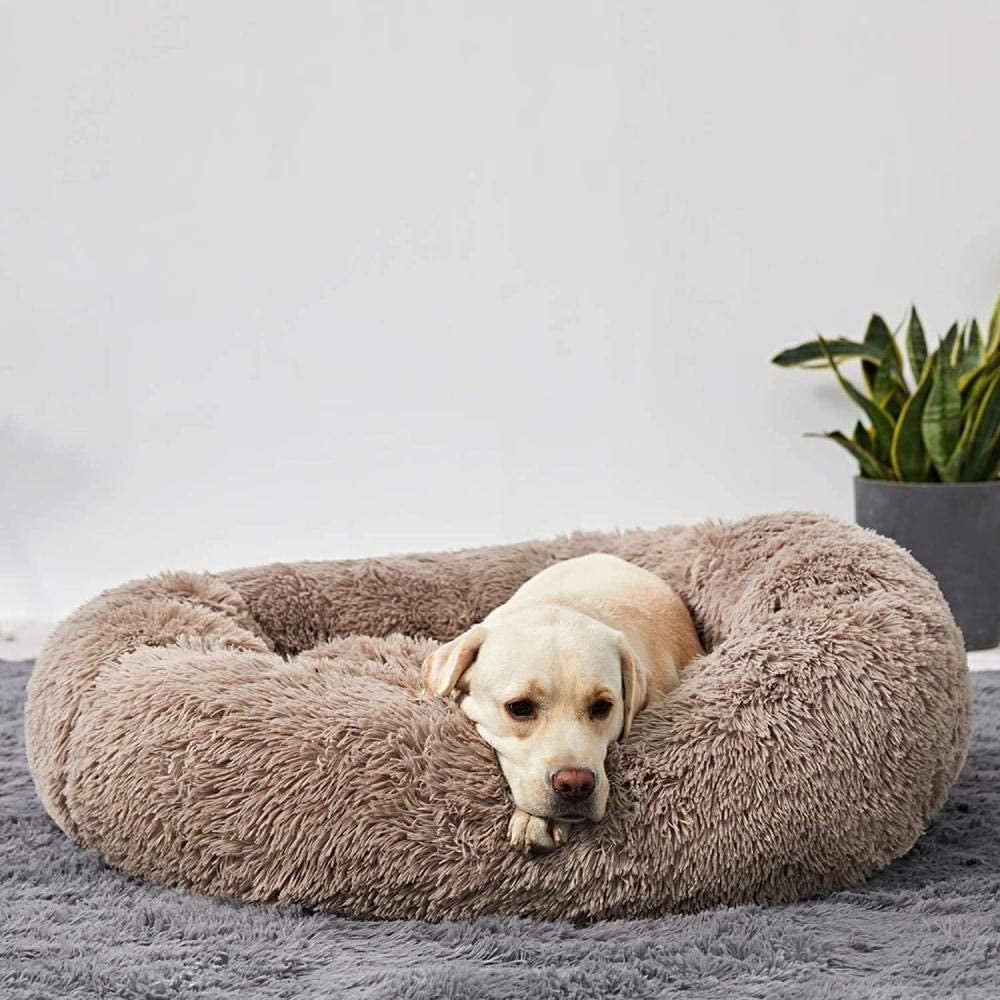 Beruhigendes Hundebett für entspannte Nächte