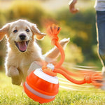 Interactive PetSphere – For hours of playtime fun and mental fitness