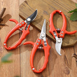 Precision Garden Shears for Bonsai and Fruit Trees with Non-Slip Handle