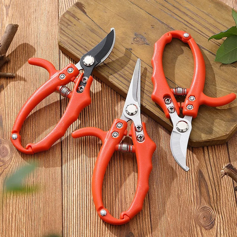 Precision Garden Shears for Bonsai and Fruit Trees with Non-Slip Handle
