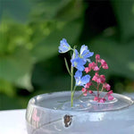BlütenEleganz – Perfect Presentation for Your Flowers
