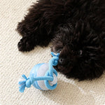 Interactive PetSphere – For hours of playtime fun and mental fitness