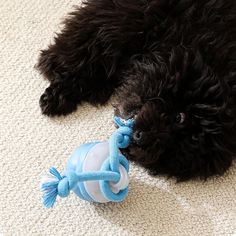 Interactive PetSphere – For hours of playtime fun and mental fitness