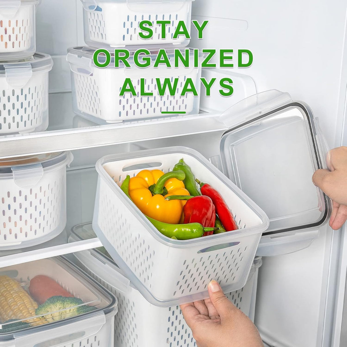 Food Storage Set of 5 with Drainage Basket