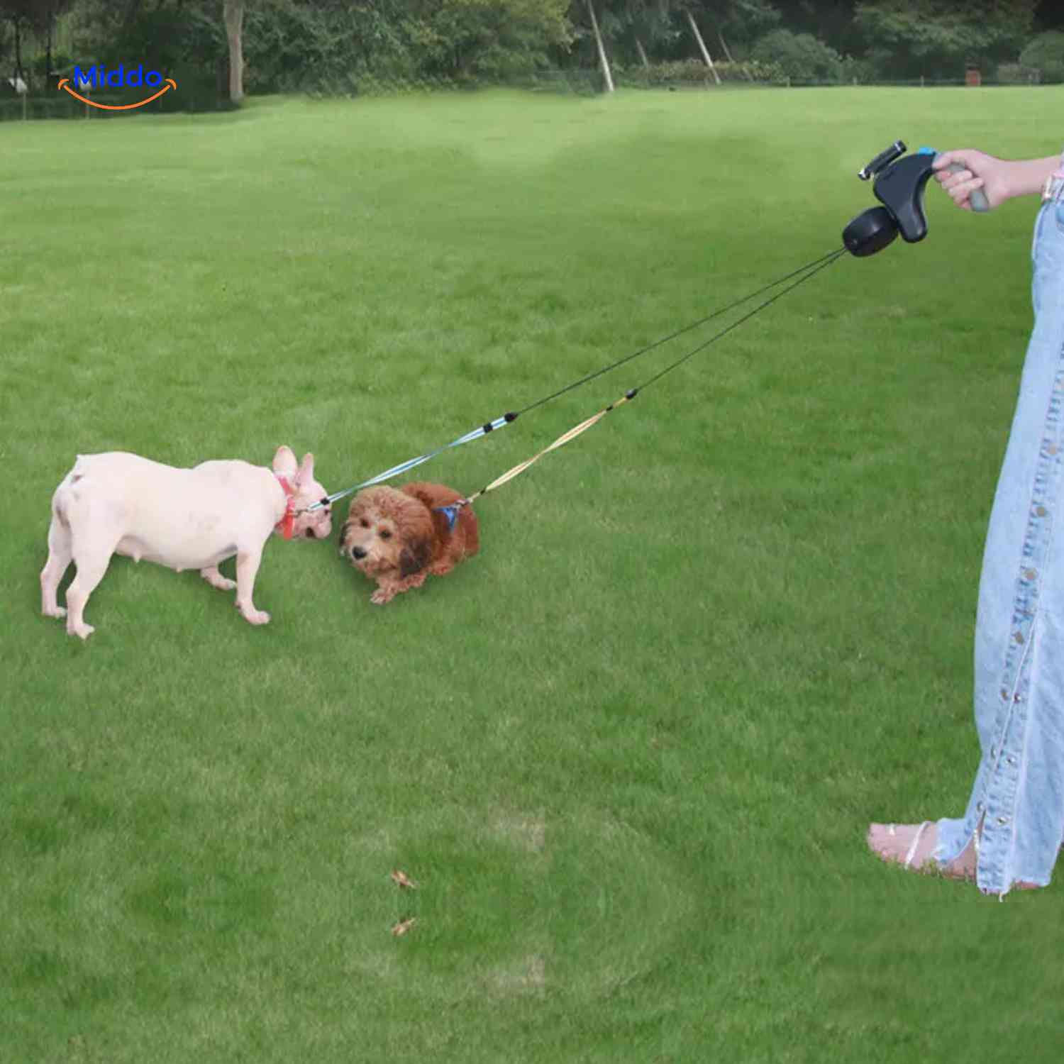 TwoDogsPro - Maximum control and comfort for your walk