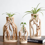 Nature's Elegance – Instantly Add a Touch of Style to Your Space