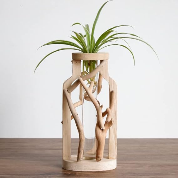 Nature's Elegance – Instantly Add a Touch of Style to Your Space