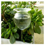 AquaSphere Automatic Plant Watering Globes | Set of 2 Handmade Glass