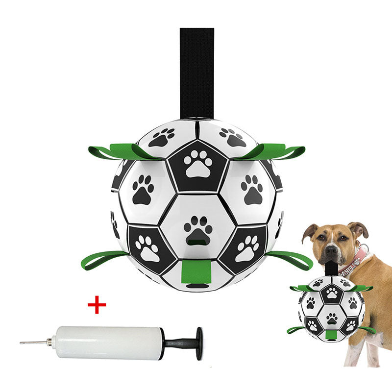 AktivBall – The perfect playmate for dogs in water and on land