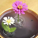 BlütenEleganz – Perfect Presentation for Your Flowers