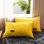 Cozy Corduroy Velour Duvet Cover Set for Winter