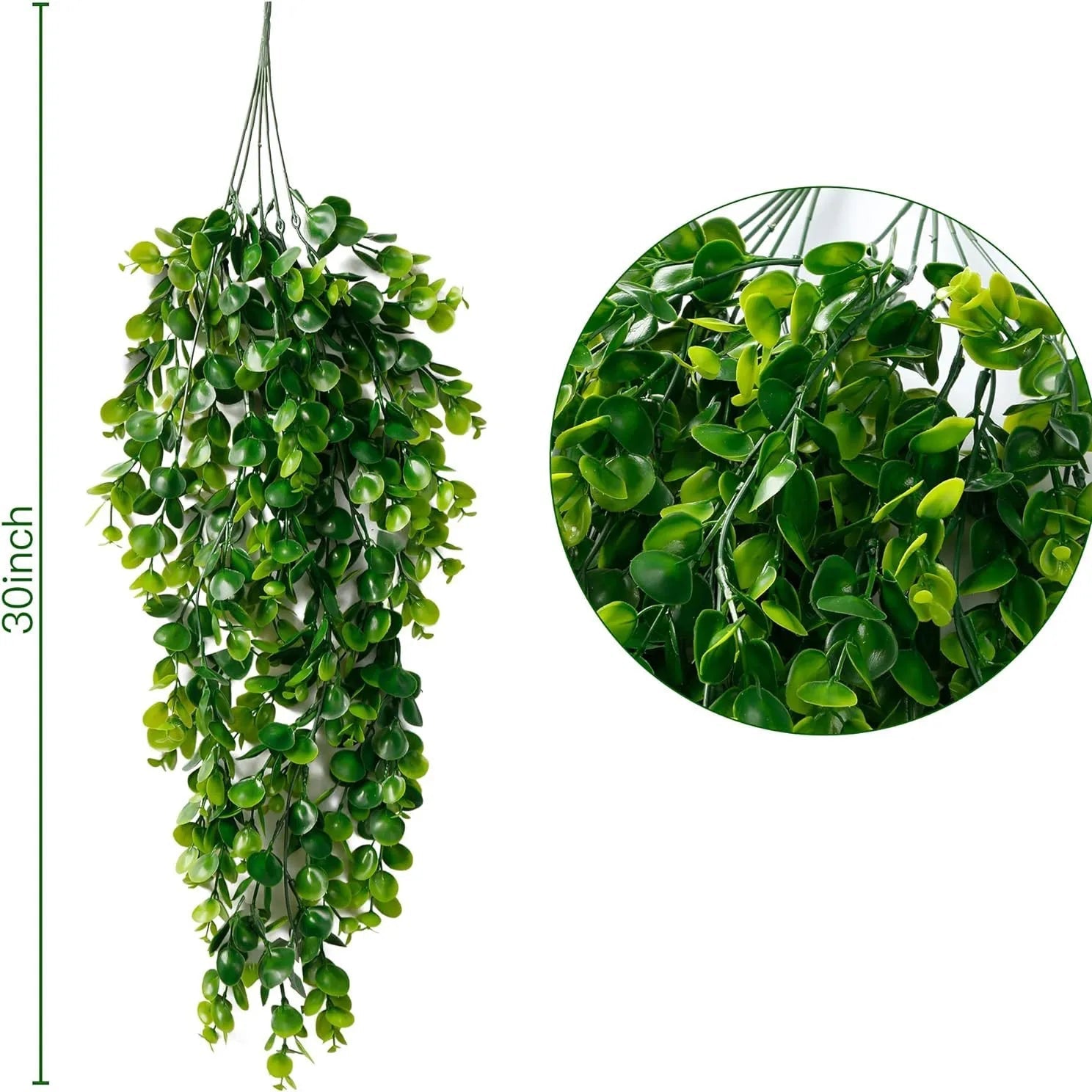 Natural fern tendrils for creative decoration | 5 stems | 45 meshes