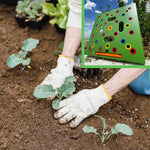 GartenHelix - Optimal Arrangement for Bountiful Harvests