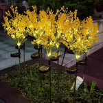 Vibrant Rape Blossom Decoration for Garden and Home