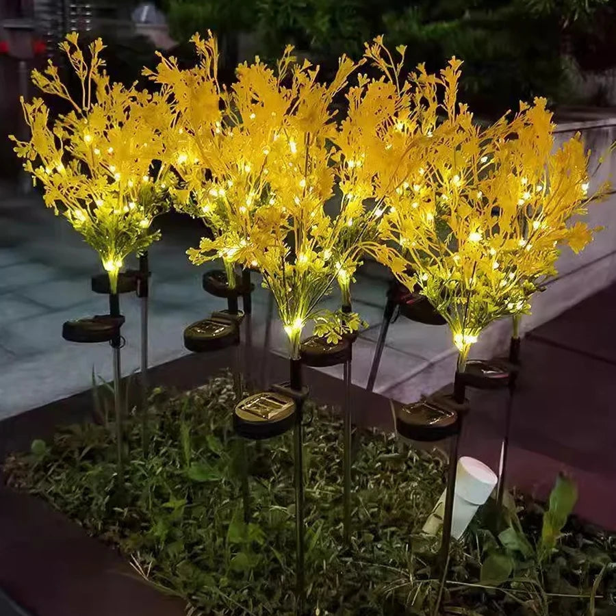 Vibrant Rape Blossom Decoration for Garden and Home