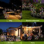 Sparkling Garden Wizards – Solar Lights for Your Outdoor Area