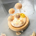 Selbstgemachte Igel-Nachtlampe CoastalGlow