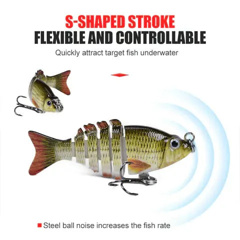 Fangmeister – The Perfect Solution for Successful Fishing Trips