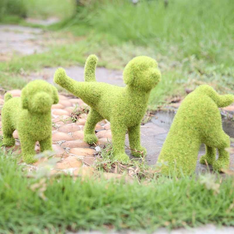 Vibrant Garden Decor - Transform Your Outdoor Space!