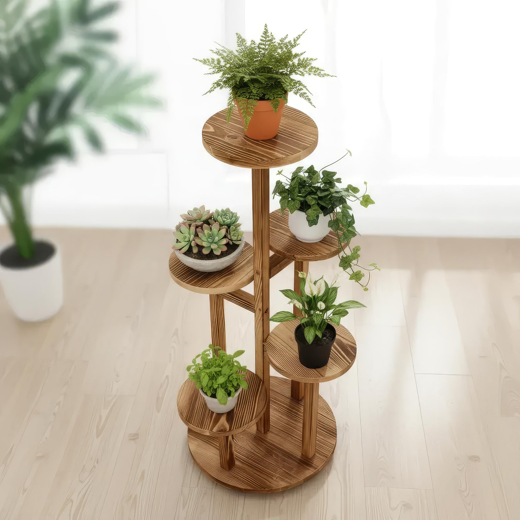 Versatile Pine Wood Plant Holder in Modern Style