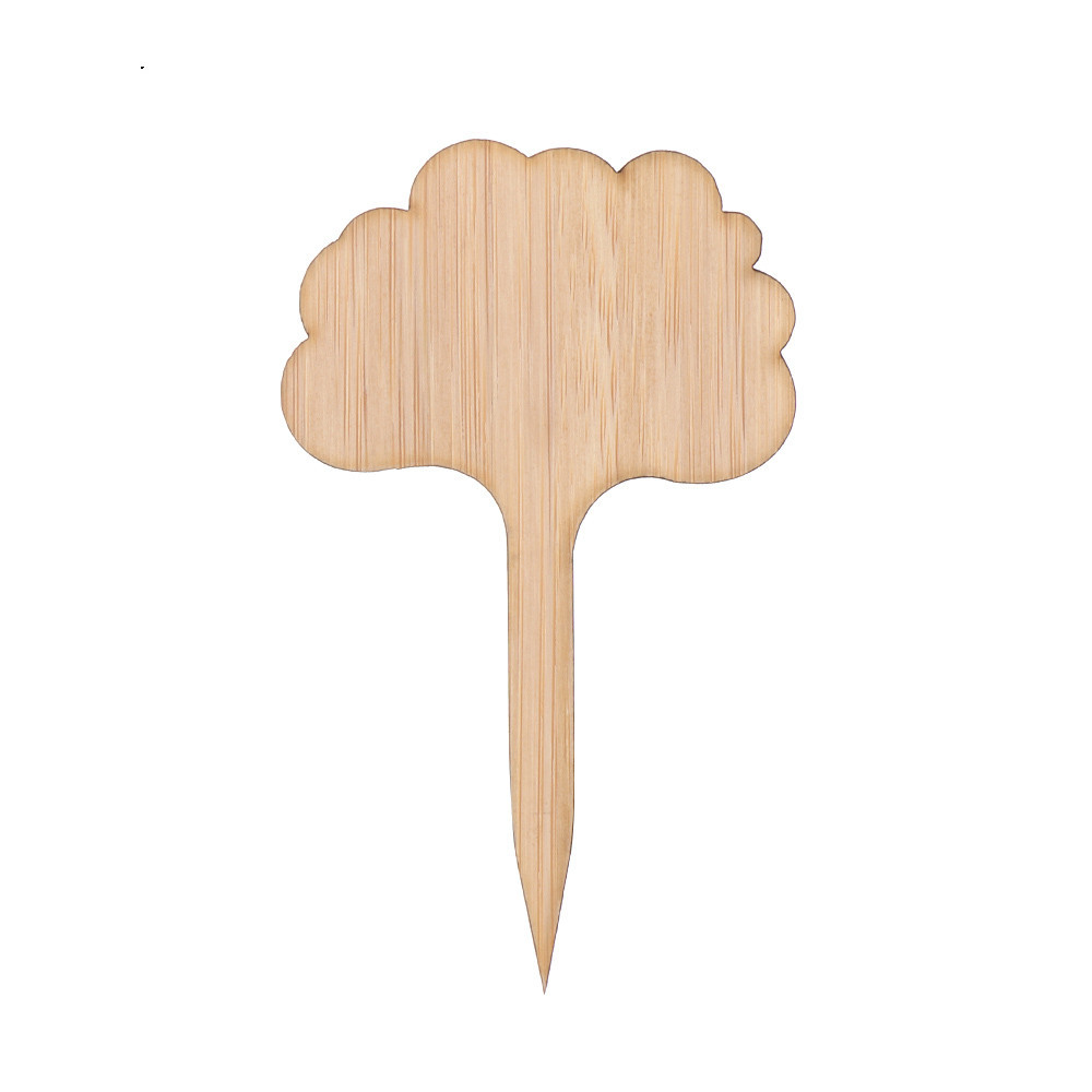 Plant care made easy with flexible wooden markers