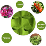 Vertical Garden Solution for a Green Home