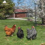 Garden Protection Net | Individually Adaptable & UV-Secure