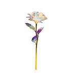 Bunte Galaxie Rose