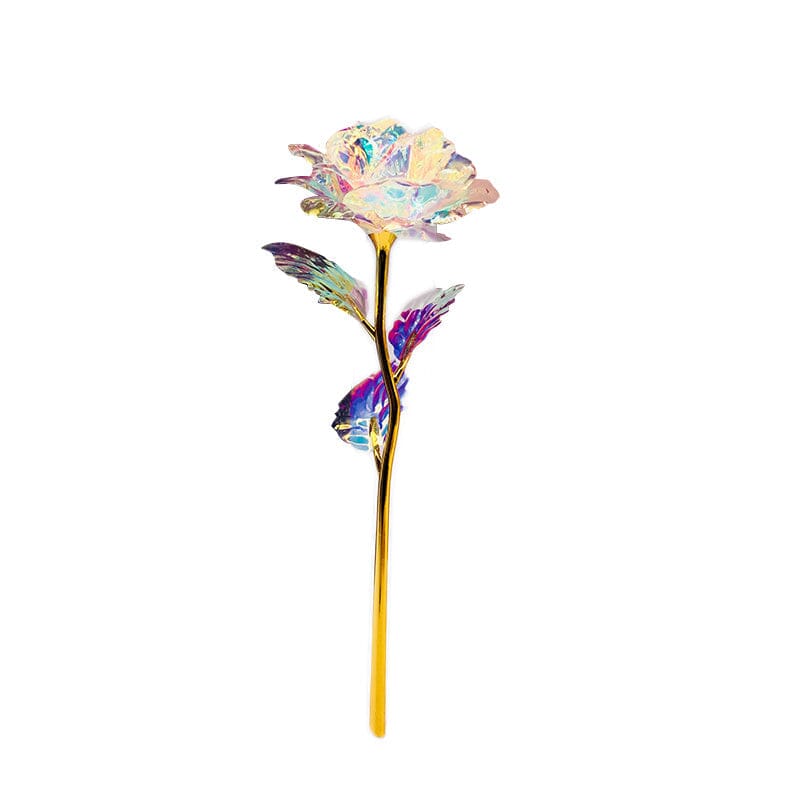 Bunte Galaxie Rose