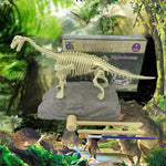 DinoEntdecker | Fossilien-Ausgrabungsset für Kinder