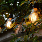 Dekorative Vintage LED-Filamentlampen im Antikstil für Häuser