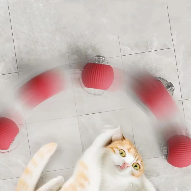 Interaktiver Spielball für Katzen – Spaß und Bewegung für drinnen