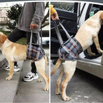 Unterstützendes Geschirr für Hunde mit Hinterbeinschwäche