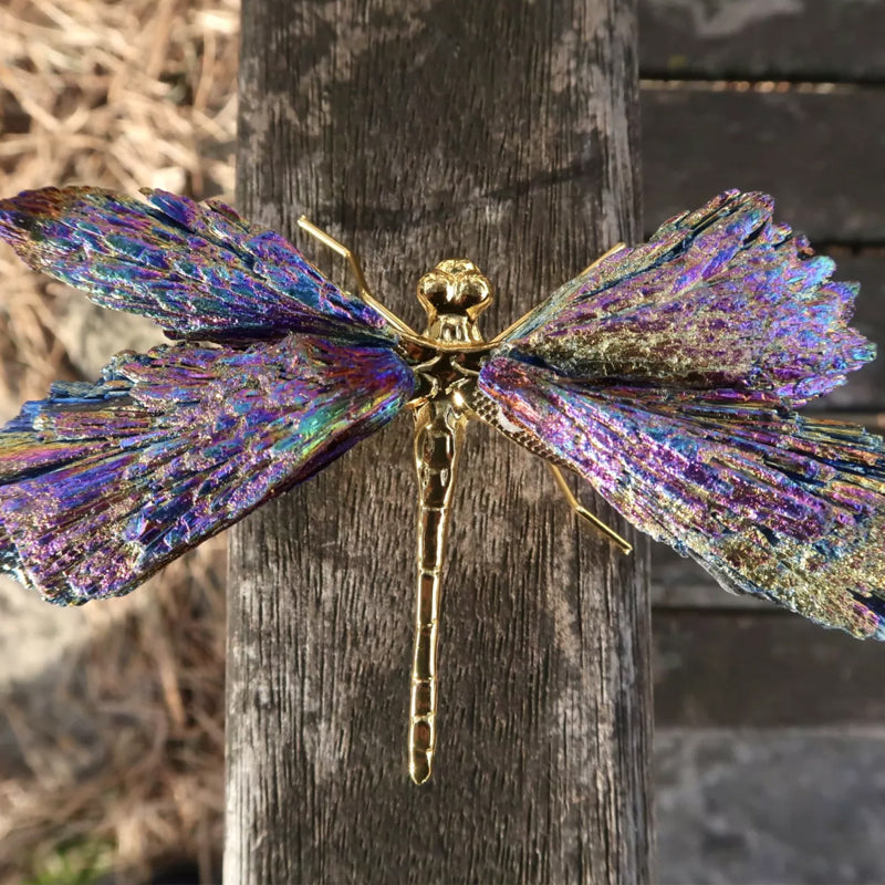 Lebendige Kristalllibelle für Harmonie und Inspiration