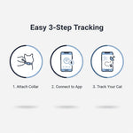 Intelligentes Katzenhalsband mit GPS-Tracking – Immer im Blick