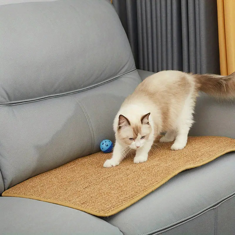 Cat Protection – Your Furniture Safe and Your Cat Happy